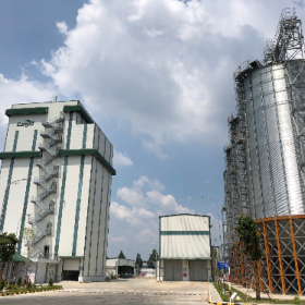 Triển vọng ngành thức ăn chăn nuôi tại Việt Nam